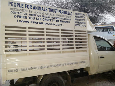 People For Animals Trust - Faridabad - PFA Services